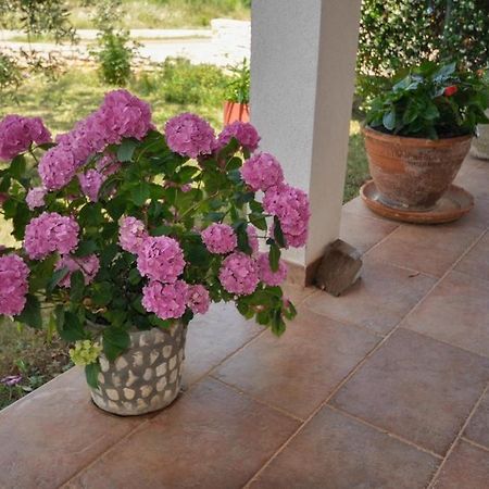 Angela Apartment Novigrad  Luaran gambar