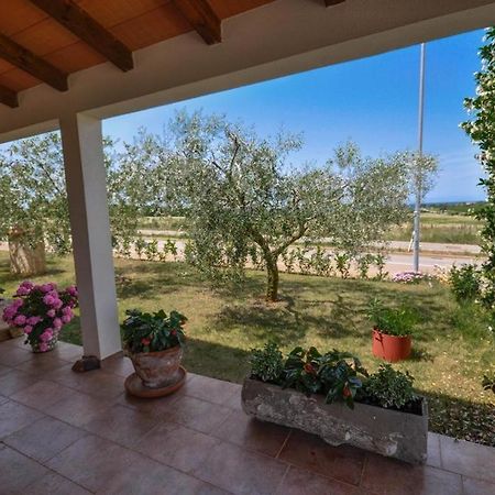 Angela Apartment Novigrad  Luaran gambar