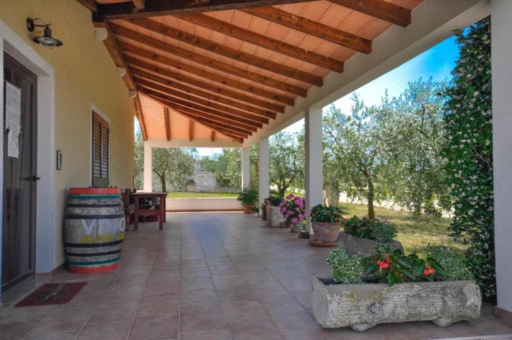 Angela Apartment Novigrad  Luaran gambar